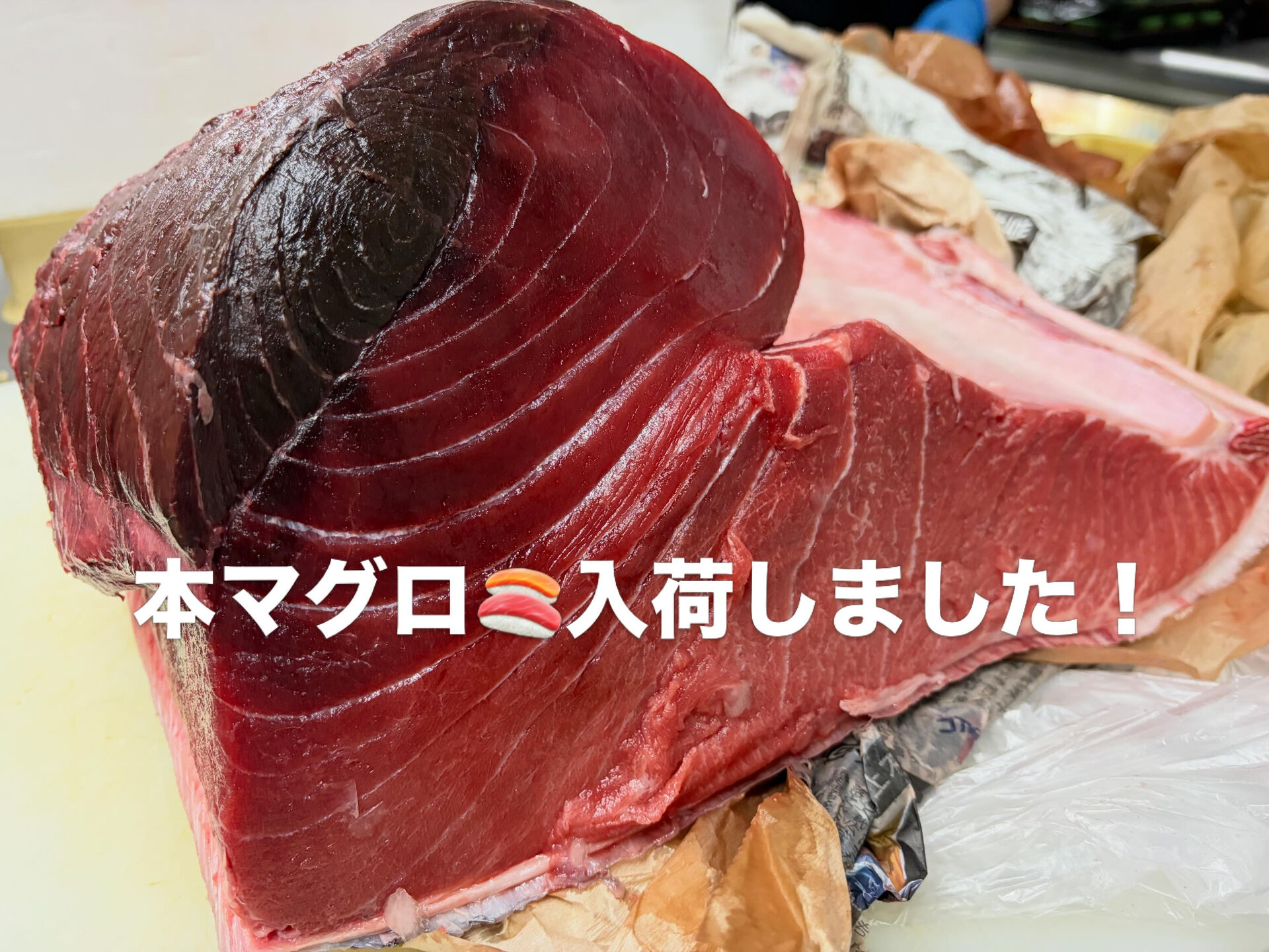 おはようございます🌞